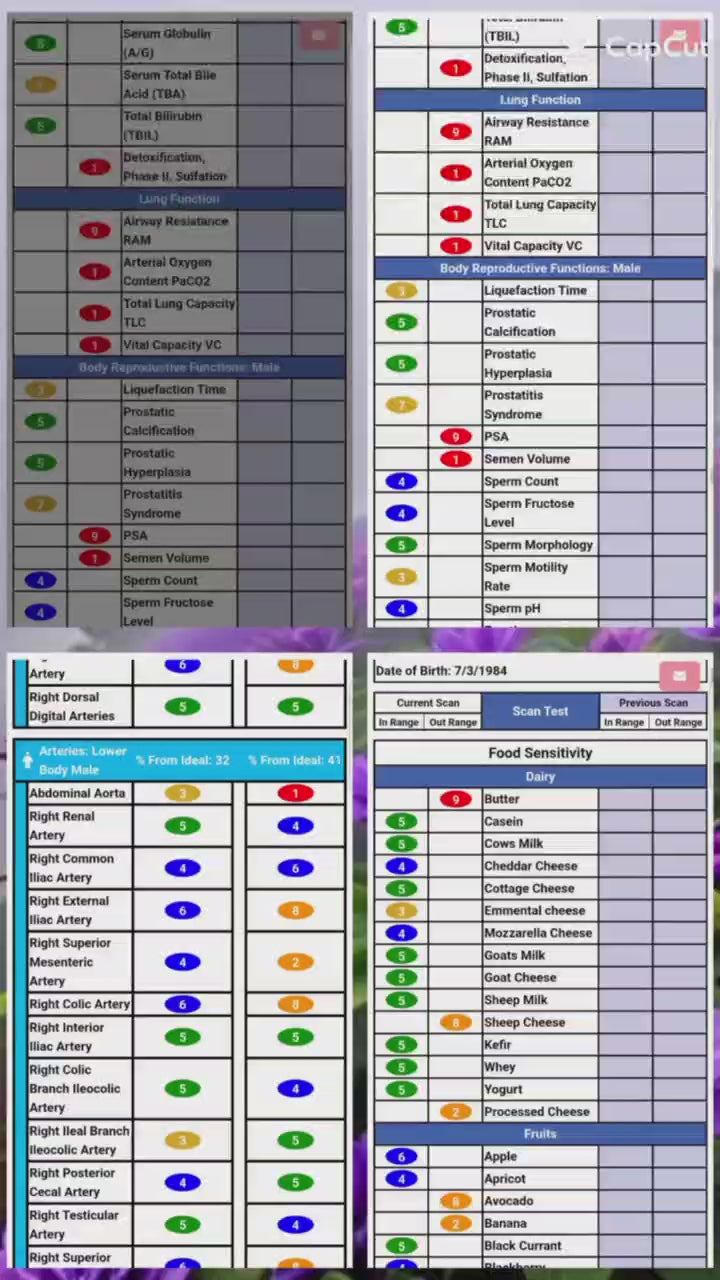 AO Scan